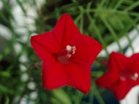 012  2