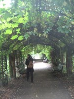 Пергола в Аптекарском огороде