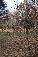 IMG 6271 r