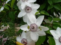 P1010168