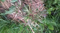 IMG 20140526 WA0002