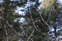 IMG 6272 r