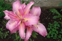 058