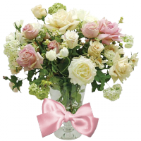 0 48ec3 1e633488 orig