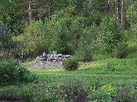 DSC00646