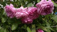 2014 06 26 1183