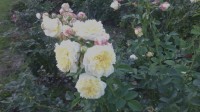 IMG 20140907 162513