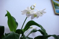 DSC00967