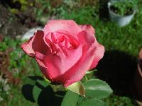 DSCN0603