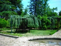 DSCN7993 изменение размера