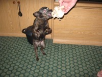 IMG 4720