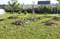 IMG 4772