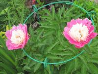 Изображение 001