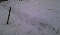 IMAG0291