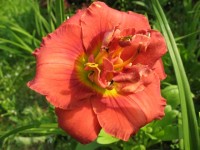 054