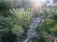 P8150489