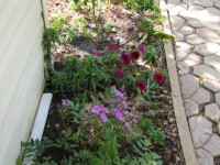 угол кухни 4