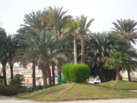 IMGP0816