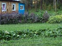 DSC00650