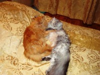 DSC02347