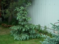 P1000221