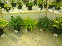 WP 20150708 16 05 02 Pro