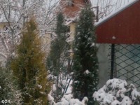 hvoja