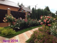 лето 2014 394