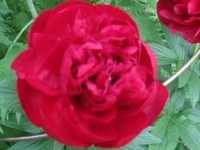 2014 06 04 18 38 20