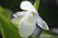 041
