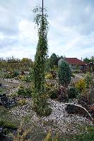 DSCF1955