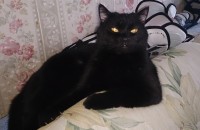 DSC 0046