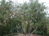 DSC 0281 новый размер