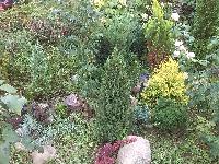 IMG 20130829 171939