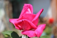 046