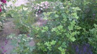 IMG 20140721 211344