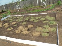 Изображение 038