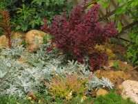 IMG 4402