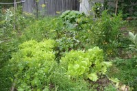 бардак
