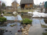 дача 2013 074