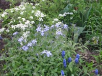 цветовой переход 2