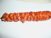 Изображение 001