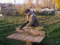 трава