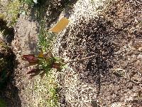 tmp 8505 20170512 1342041768309964