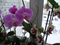 P1050543