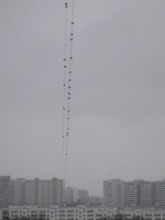 IMG 80888