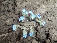 Изображение 048