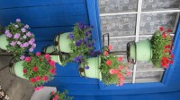 Изображение 070