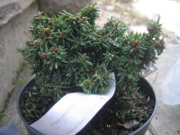 Изображение 067