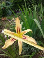20140630 102130